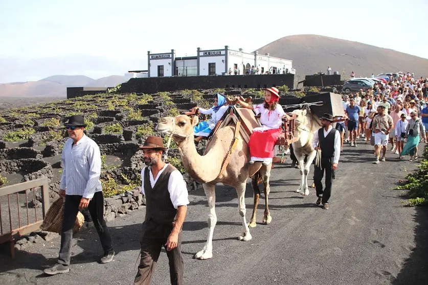 Vendimia en La Geria.