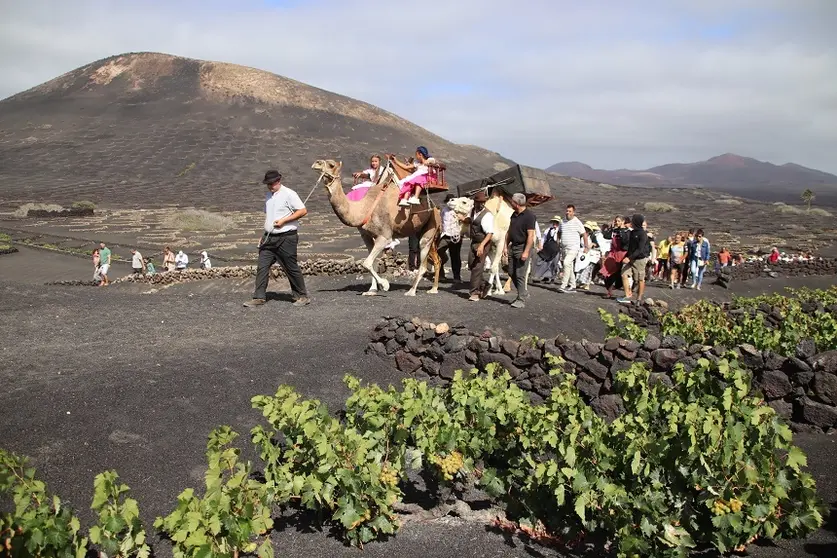 Imagen de las fiesta de La Geria.