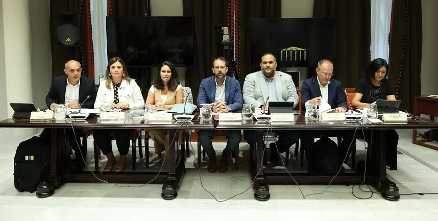Samuel en la comisión parlamentaria de cabildos.