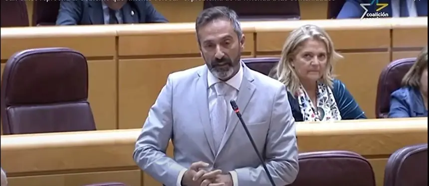 Pedro San Ginés durante su participación en el Senado.