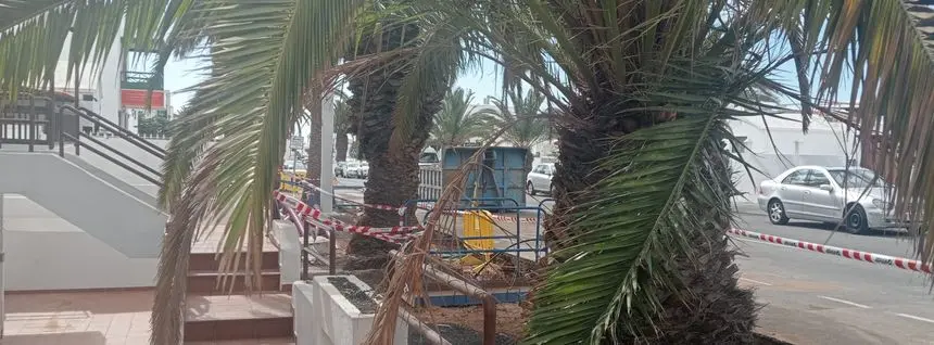 Imagen de este jueves de la obra a primera hora de la mañana.