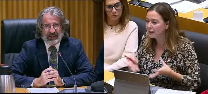 Imagen de la diputada nacional preguntando al experto que acudió al Congreso.