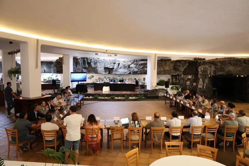 Instituciones representadas en el Consejo Insular de Aguas.