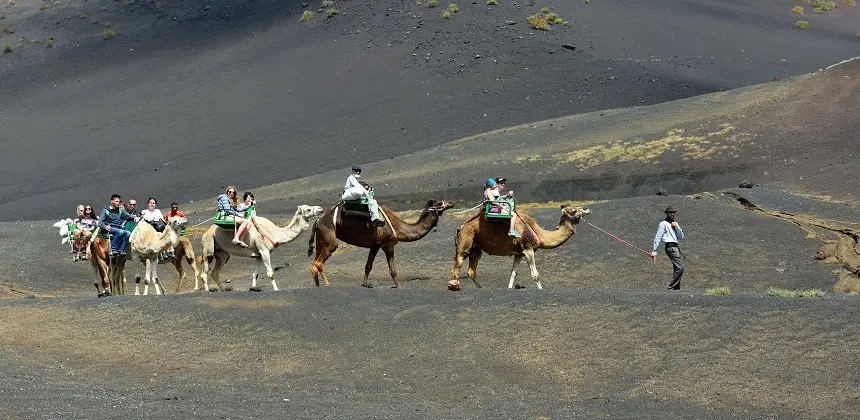 Turistas disfrutando de un paseo en camello por Lanzarote.
