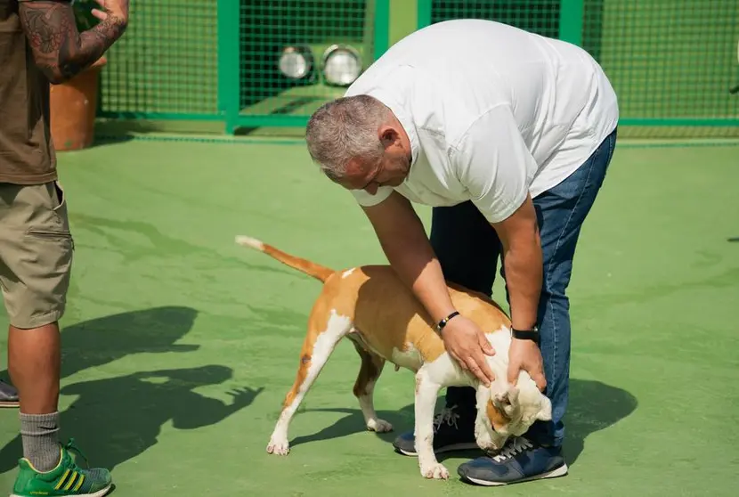 Jacobo Lemes acariciando a uno de los perros que hay en el cenrtro