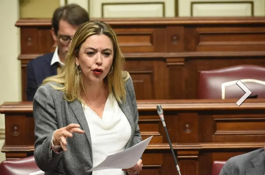 María Dolores Corujo en el Congreso de los Diputados.
