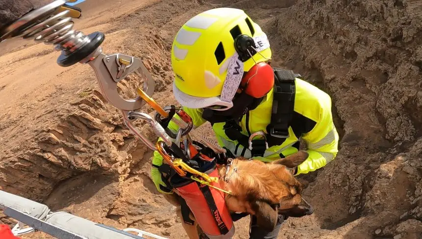 Unidad canina utilizada en los rescates.