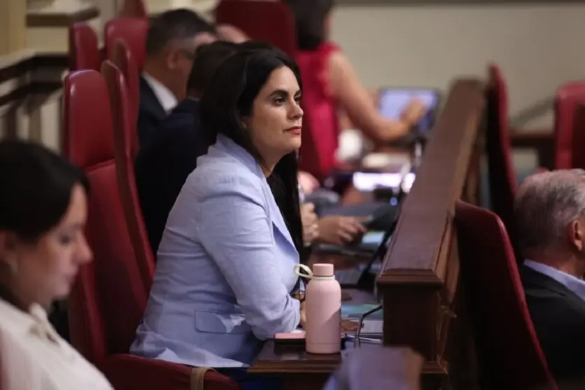 Vidina Espino en el Parlamento de Canarias.