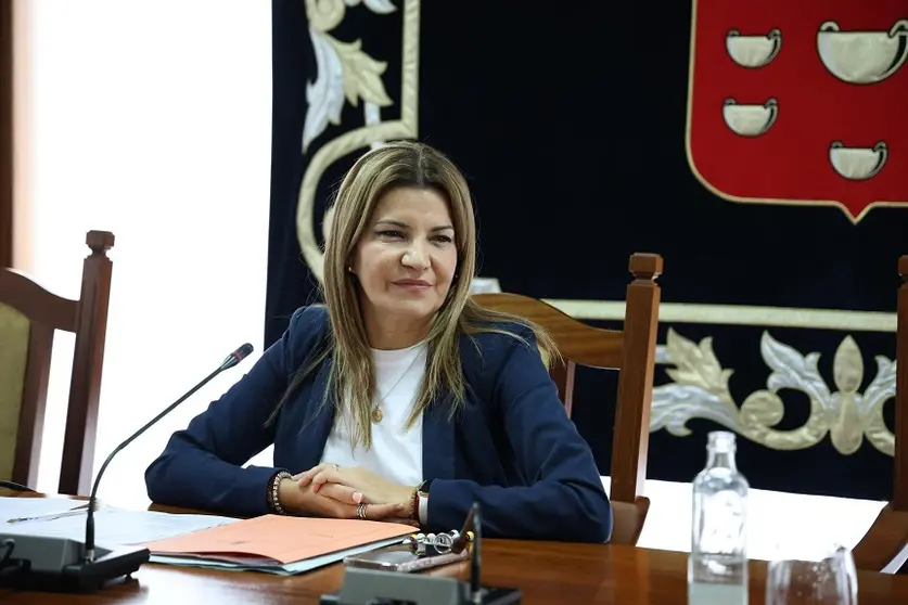 La vicepresidenta y consejera de Hacienda, María Jesús Tovar