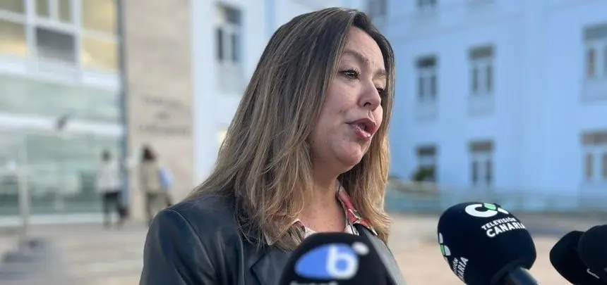 María Dolores Corujo este jueves en la puerta del Cabildo de Lanzarote.