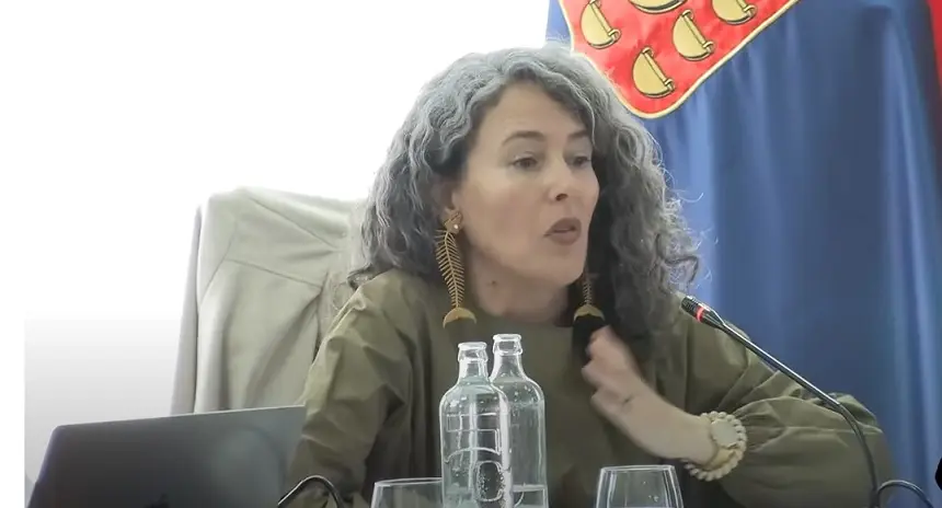 Ariagona González durante su intervención en el pleno de este jueves. 