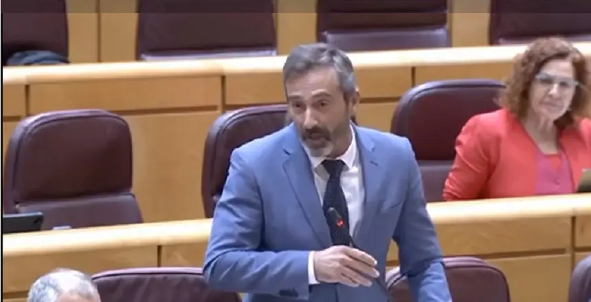 Pedro San Ginés en el Senado durante una de sus intervenciones.