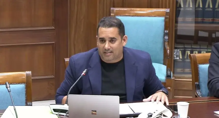 Yoné Caraballo en una comisión de Sanidad del Parlamento autonómico