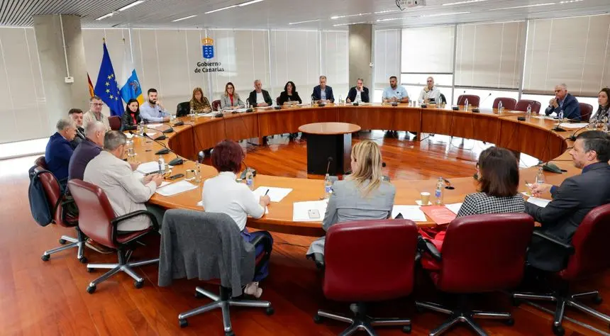 María Fernández durante la celebración de un encuentro de la Mesa del Transporte en Canarias