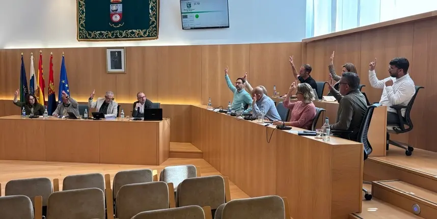 Aprobación del Plan de Modernización en el pleno del Ayuntamiento de Tías.