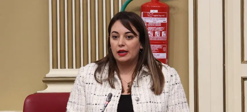 Cristina Calero en una intervención en el Pleno de la Cámara