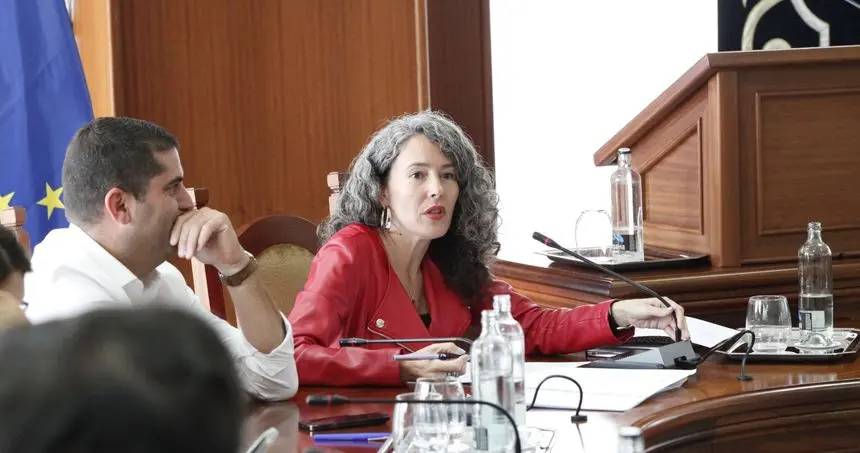 Ariagona González en un pleno del Cabildo de Lanzarote