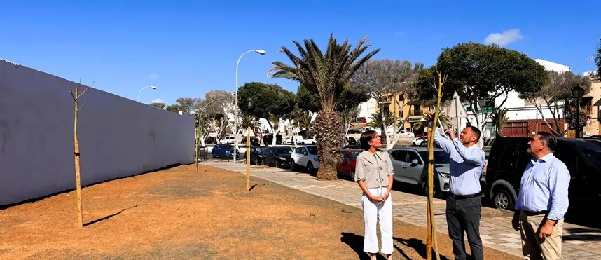 La productora de Navilan dona 50  flamboyanes dentro de la iniciativa del Ayuntamiento de Arrecife para que se unan a la campaña de reforestación de los barrios 