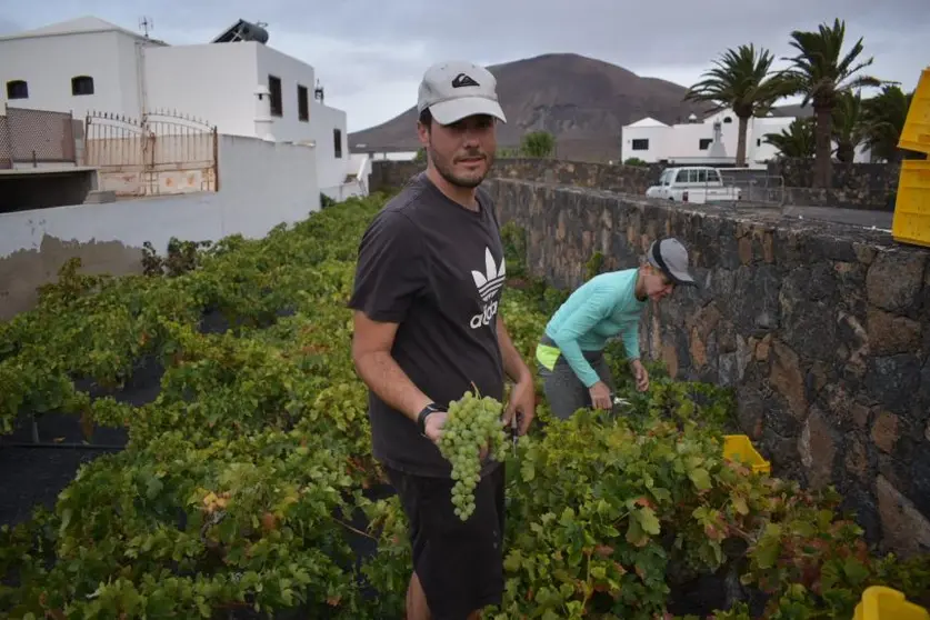 Jorge González, propietario de Bodega Olivina.
