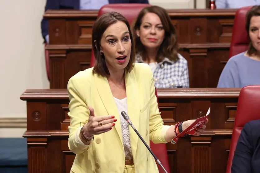 Nira Fierro en el Parlamento de Canarias.