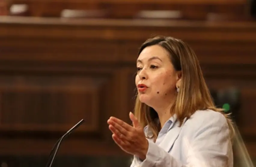 María Dolores Corujo en el Congreso de los Diputados.