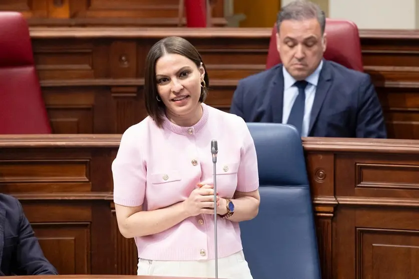 Migdalia Machín en el Parlamento de Canarias.
