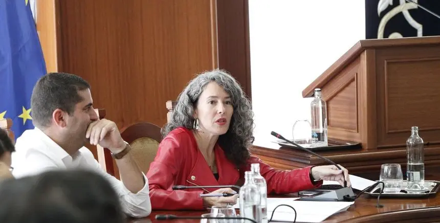 Ariagona González y Benjamín Perdomo durante un pleno del Cabildo.