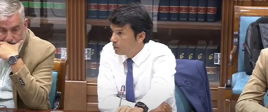 Marcos Bergaz durante su intervención en una comisión del Parlamento de Canarias.