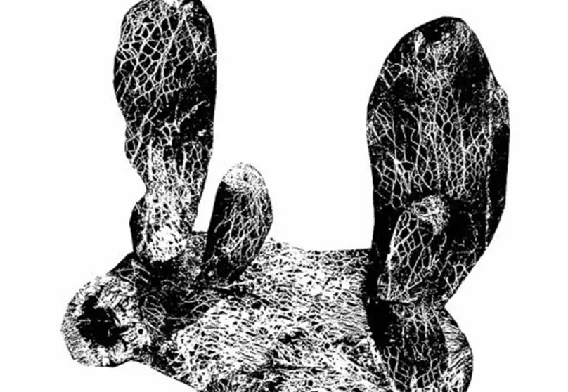 Muestra de una obra de Agathe sorel.