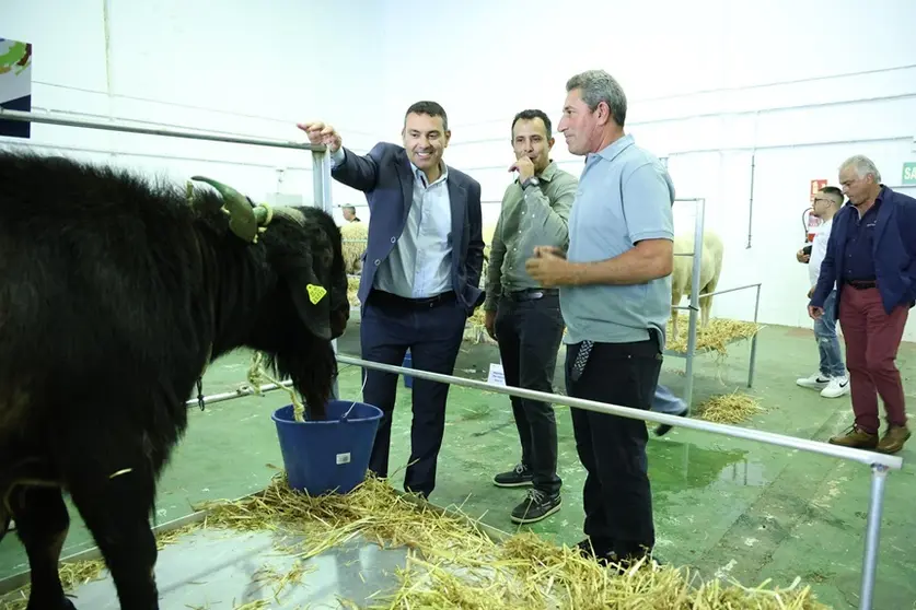 Oswaldo Betancort junto a Omar Viñas observando un ejemplar caprino.