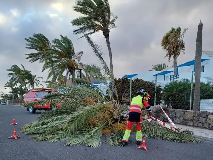 Los bomberos tuvieron que acudir a numerosos servicios a lo largo del día.