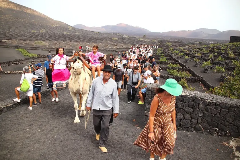 Imagen de la tradicional vendimia.