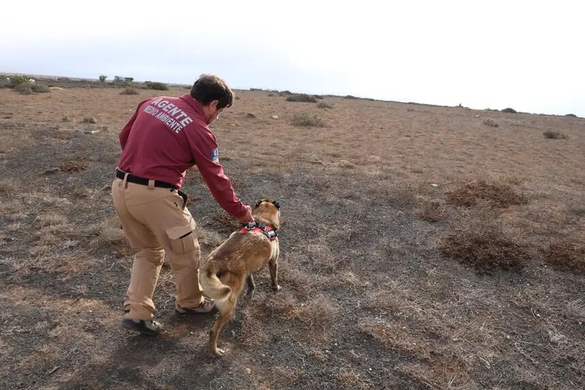 Unidad canina y Agentes de Medio Ambiente.