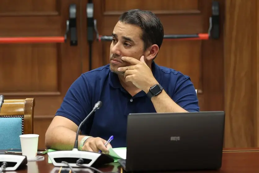 Yoné Caraballo en la comisión de Sanidad.