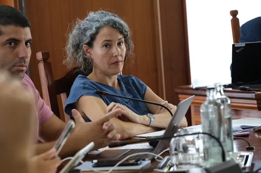 Benjamín Perdomo y Ariagona González durante un pleno del Cabildo.