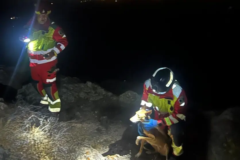 Los bomberos rescatan a un perro en Nazaret.