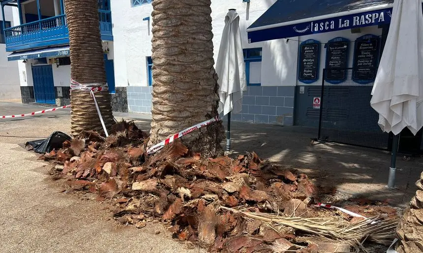 Así quedaron los restos de poda.