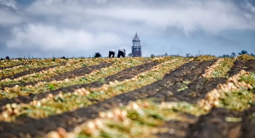 Imagen de agricultores de Teguise distribuida por el Cabildo.