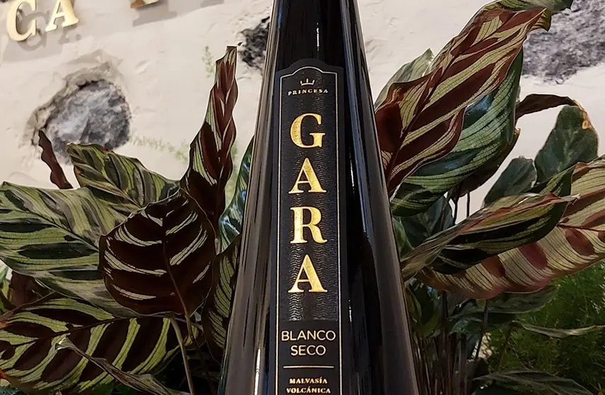 Vino Princesa Gara Malvasía Volcánica.