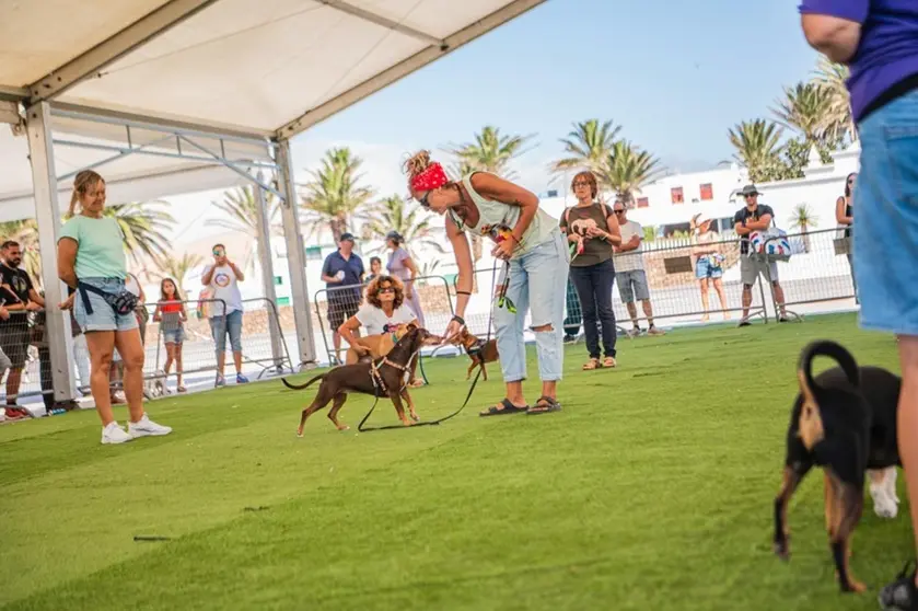 Perros participando en una de las exhibiciones.