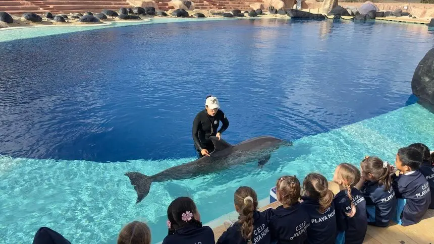 Un grupo de niños en el delfinario del Rancho Lanzarote Texas Park.
