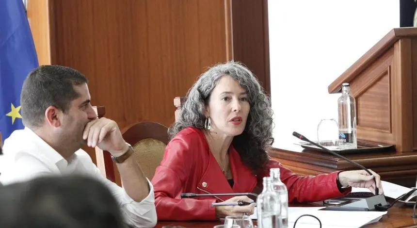 Ariagona González y Benjamín Perdomo en el Pleno