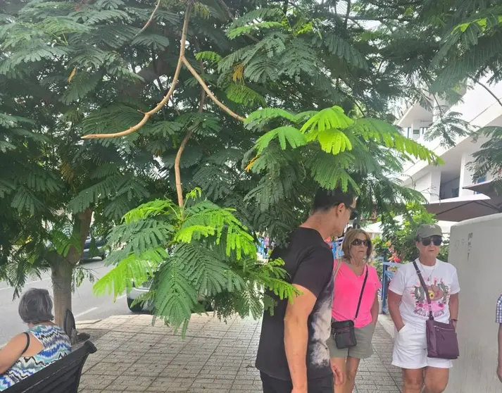 Imagen de la calle Juan Carlos I por donde no se puede circular por la acera