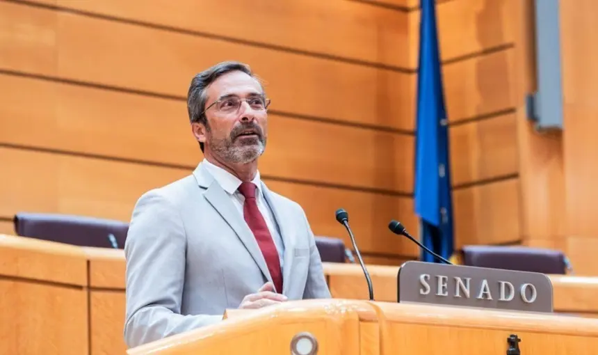Pedro San Gin&eacute;s durante su intervenci&oacute;n en la C&aacute;mara Alta.