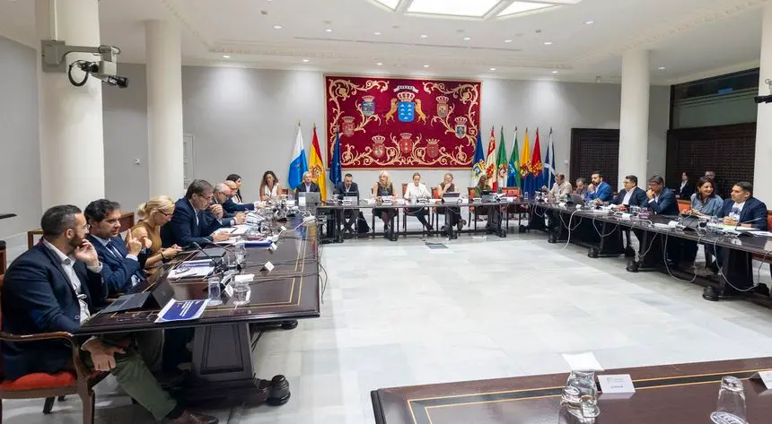 Imagen del encuentro de la Comisión de Sanidad en el Parlamento de Canarias.