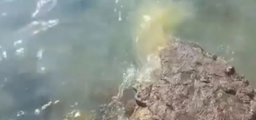 Imagen de uno de los vertidos que se han producido en la zona de El Reducto. 