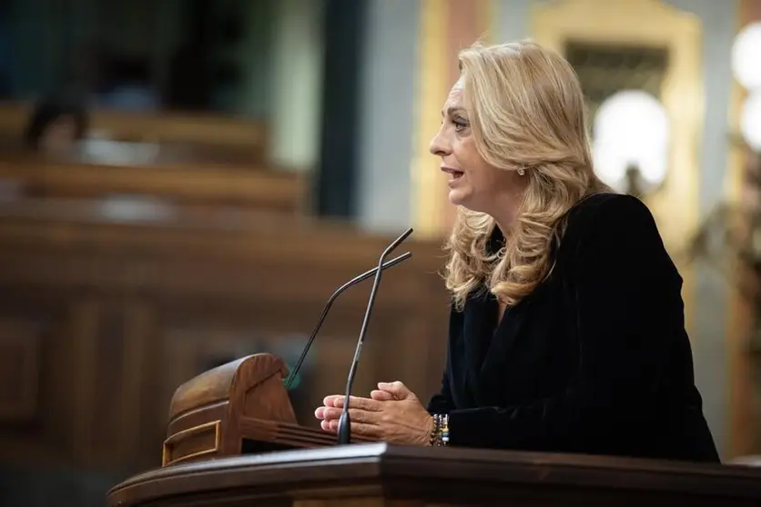 Cristina Valido en el Congreso de los Diputados