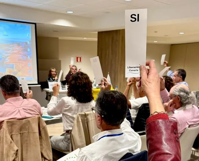 Imagen de una de las votaciones del encuentro