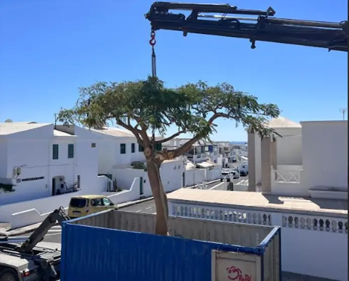 Imagen de uno de los traslados que se ha realizado.