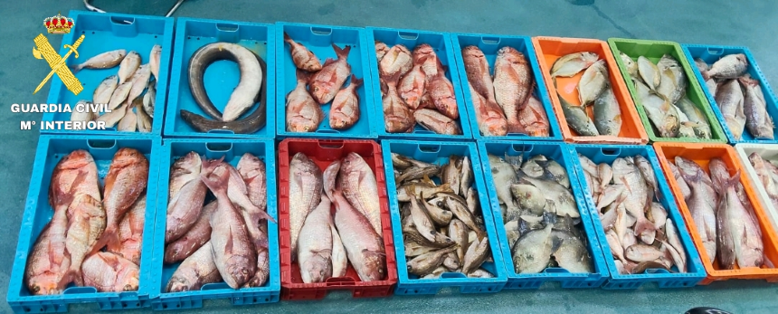 Pesca ilegal confiscada en La Graciosa.
